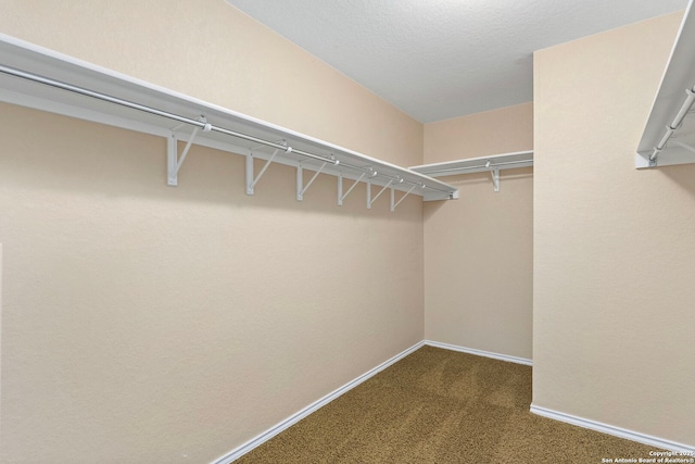 walk in closet featuring dark colored carpet