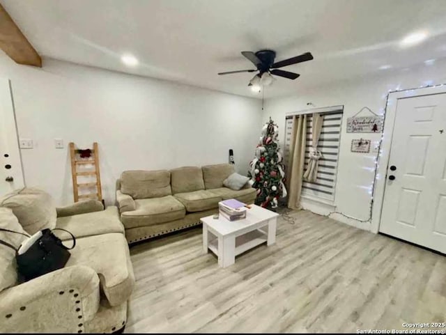 living room with ceiling fan and light hardwood / wood-style flooring