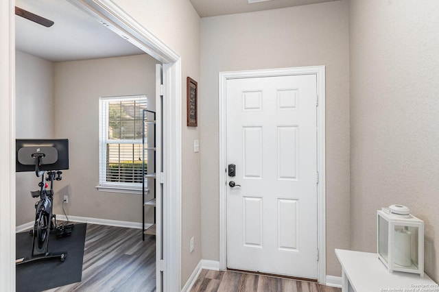 entryway featuring wood-type flooring