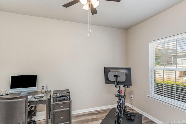 office area featuring hardwood / wood-style flooring and ceiling fan