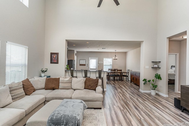 living room featuring a high ceiling, ceiling fan, and light hardwood / wood-style floors