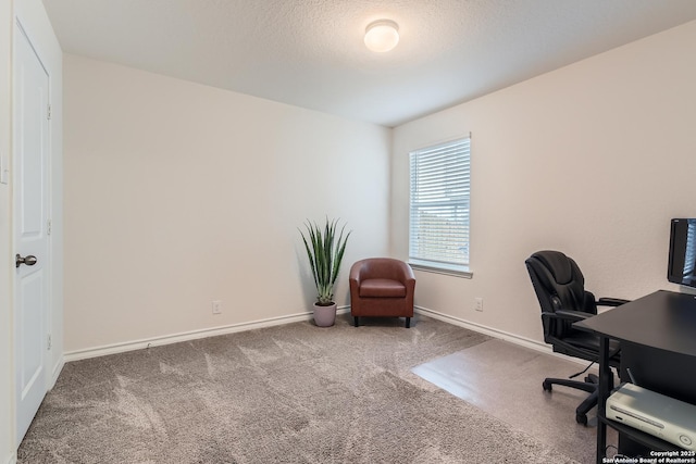 carpeted office space with a textured ceiling