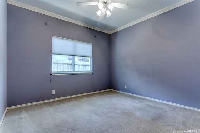 unfurnished room with ornamental molding, ceiling fan, and carpet flooring