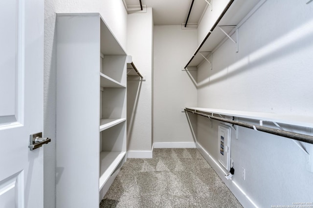 spacious closet featuring light carpet