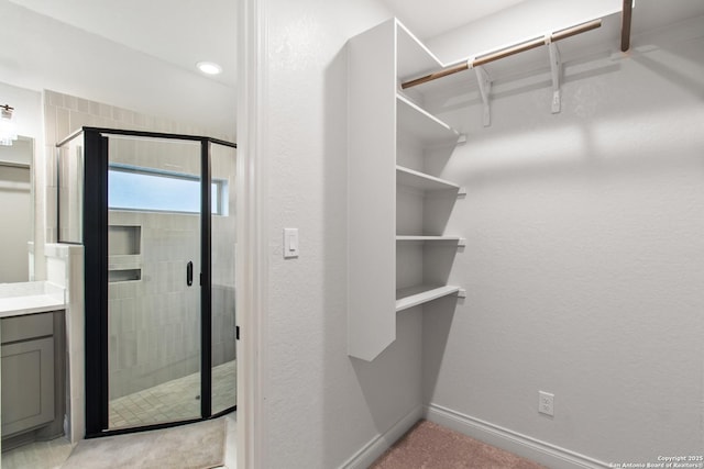 view of spacious closet