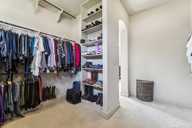 spacious closet with light carpet