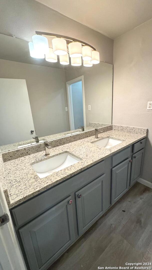 bathroom with hardwood / wood-style flooring and vanity