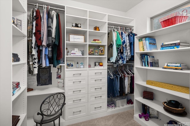 walk in closet with carpet