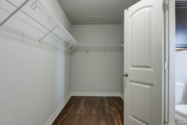 walk in closet with dark wood-type flooring