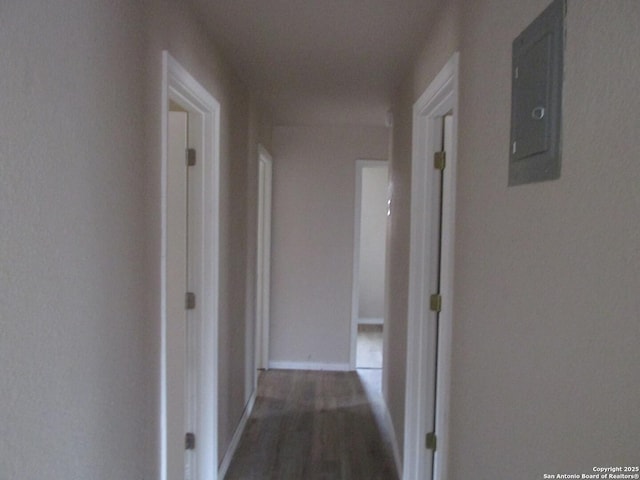 hall with electric panel and dark hardwood / wood-style floors