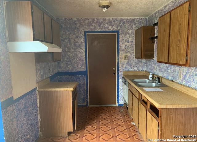 kitchen featuring sink, ventilation hood, light parquet flooring, and a textured ceiling