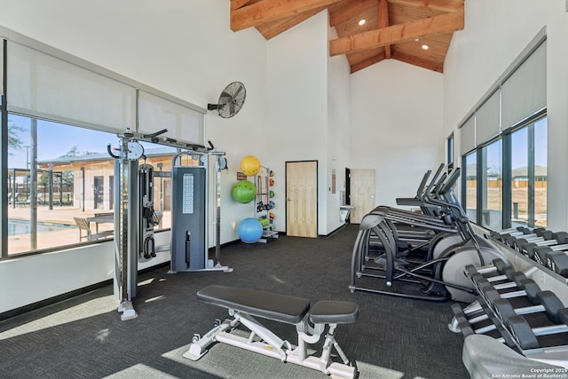 workout area featuring a healthy amount of sunlight, wood ceiling, and high vaulted ceiling