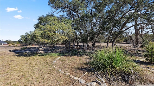 110 Antonio Perez, Blanco TX, 78606 land for sale