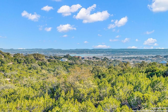 view of mountain feature