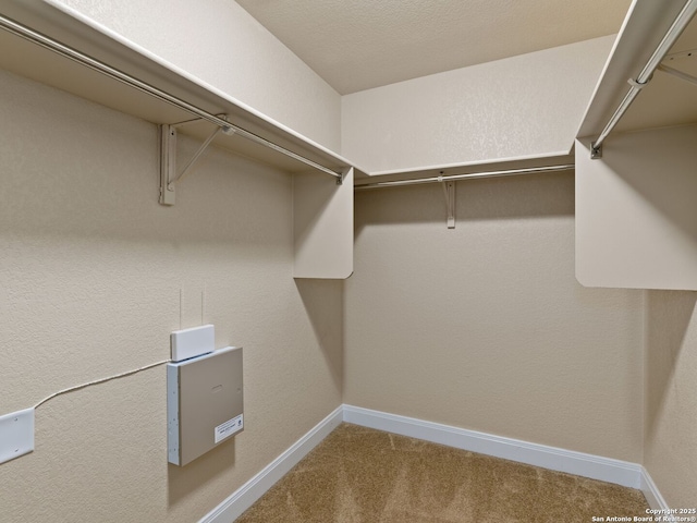 spacious closet with carpet flooring