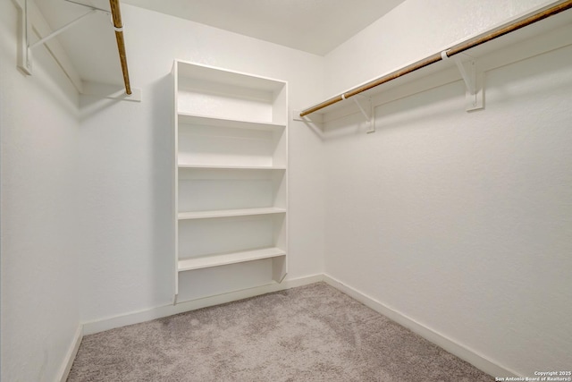 spacious closet with light carpet