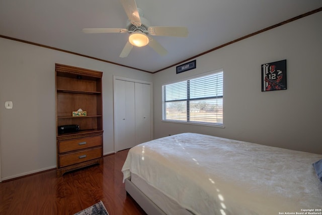 bedroom with crown molding, dark wood-type flooring, a closet, and ceiling fan