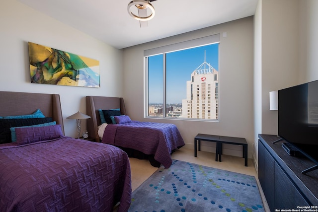 bedroom with carpet floors