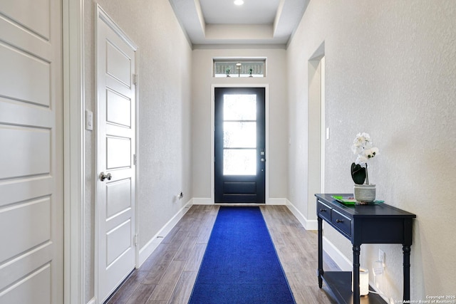 entrance foyer featuring dark hardwood / wood-style floors and a raised ceiling