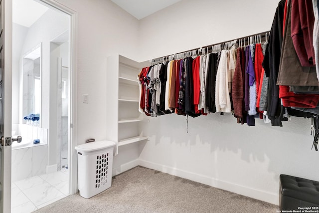 spacious closet with light carpet