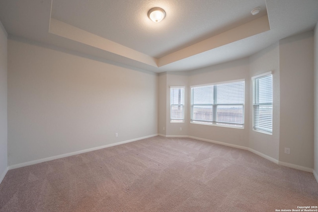 carpeted spare room with a tray ceiling