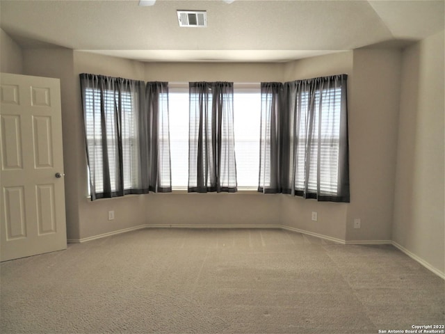 carpeted spare room featuring a wealth of natural light