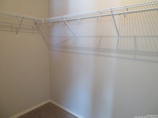 walk in closet featuring carpet