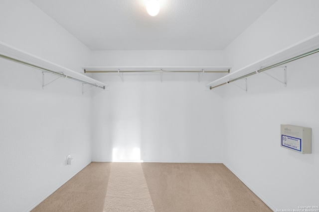 walk in closet with carpet flooring