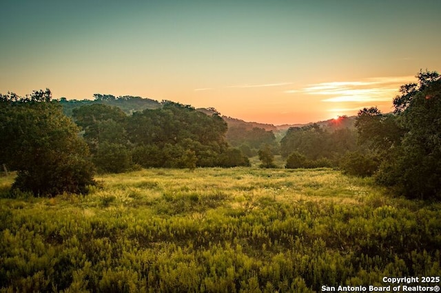 1218 Catnip, New Braunfels, TX 78132 - mountain view featuring a heavily wooded area