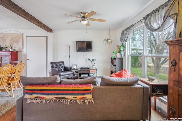 living room with beamed ceiling, ceiling fan, and light hardwood / wood-style flooring