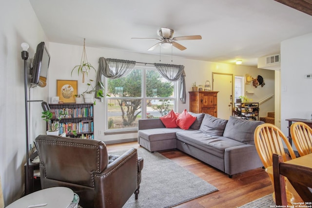 living room with ceiling fan and light wood-type flooring