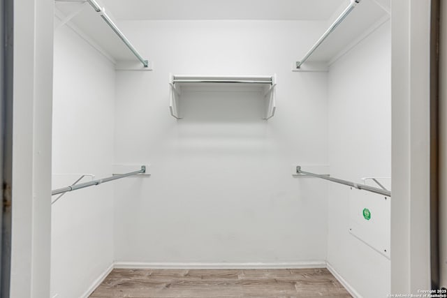 spacious closet with light wood-type flooring