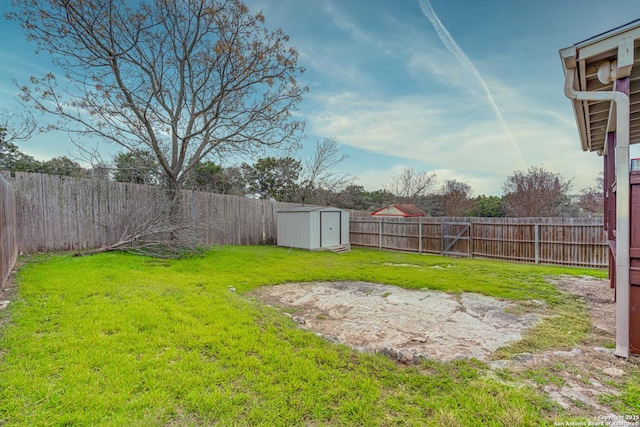 view of yard featuring a storage shed