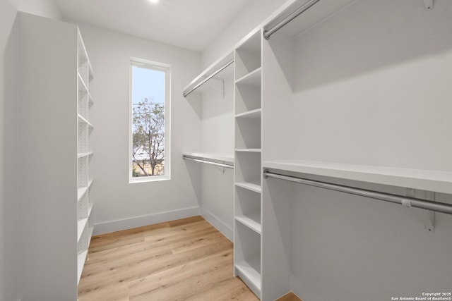 walk in closet with light wood-type flooring