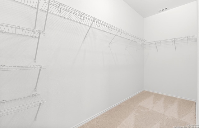 11707 Anselmo, San Antonio, TX 78254 - spacious closet featuring carpet flooring