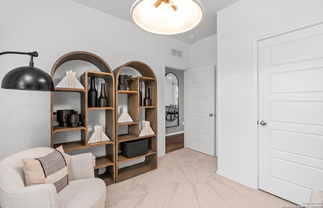 11707 Anselmo, San Antonio, TX 78254 - living area with light colored carpet
