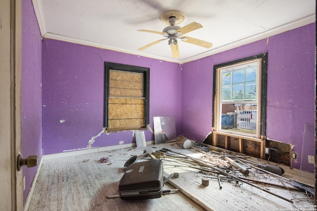 miscellaneous room featuring crown molding, ceiling fan, and wood-type flooring