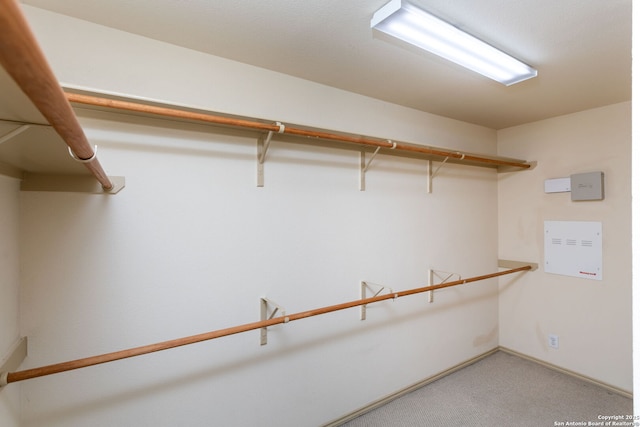 spacious closet featuring light carpet