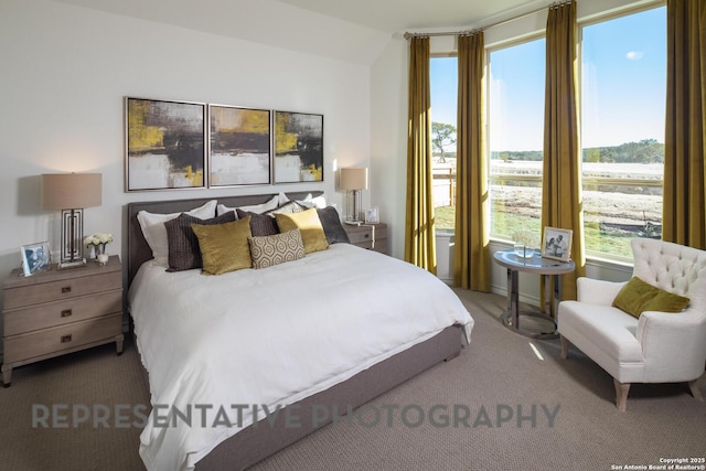 carpeted bedroom featuring multiple windows