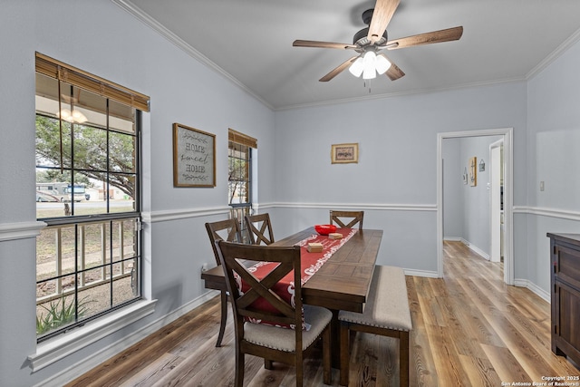 dining space featuring crown molding, ceiling fan, and light wood-type flooring