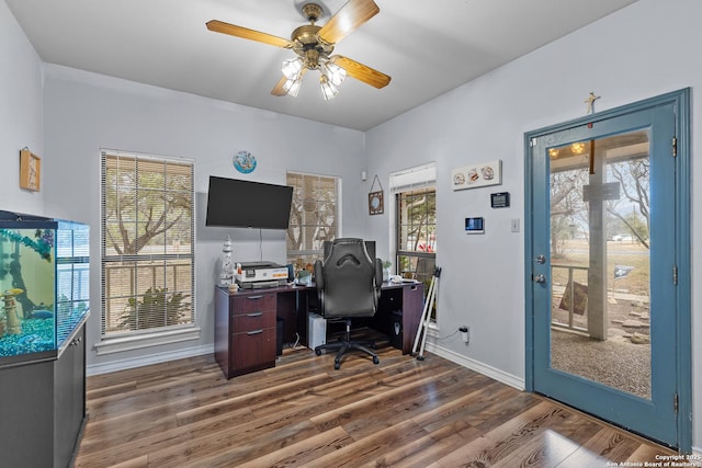 office area featuring ceiling fan and dark hardwood / wood-style floors