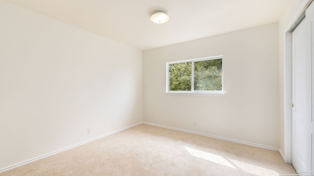 unfurnished bedroom featuring light colored carpet and a closet