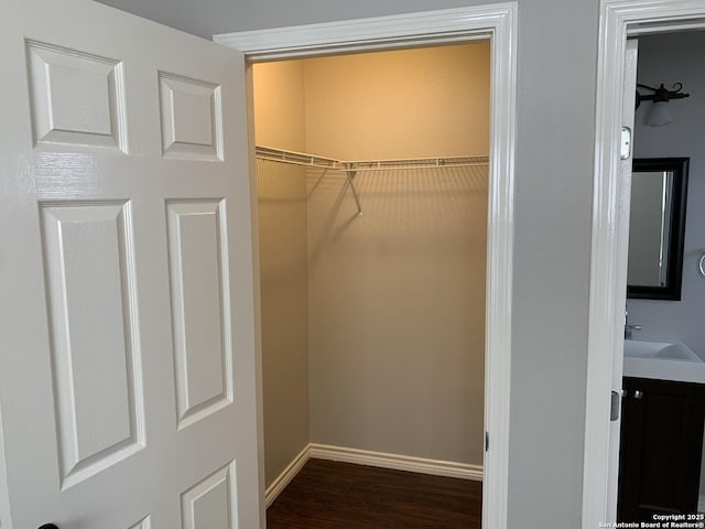 closet featuring sink