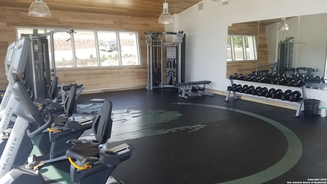 workout area featuring wooden walls, a healthy amount of sunlight, and vaulted ceiling