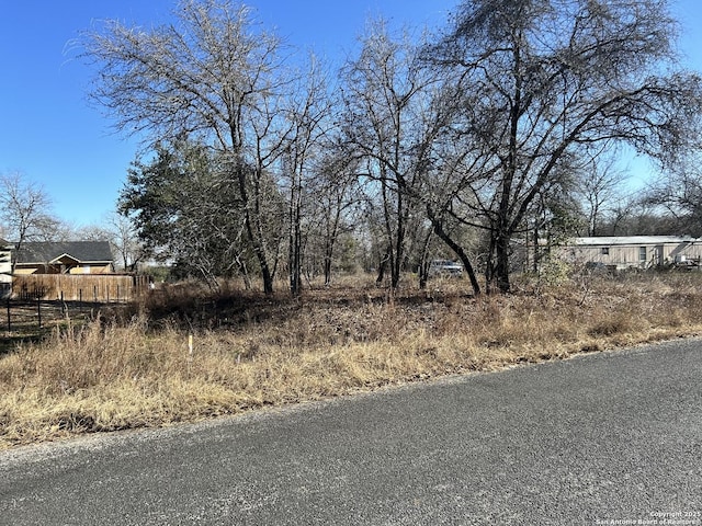 23234 Hickory Shadow, Elmendorf TX, 78112 land for sale