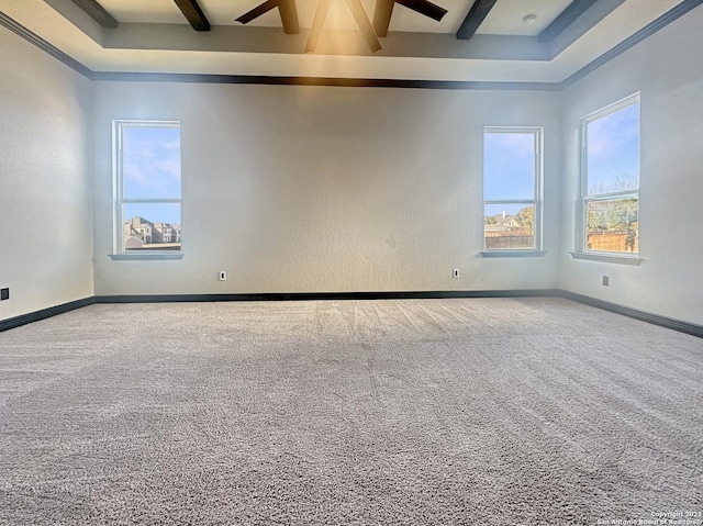 unfurnished room featuring beamed ceiling and carpet floors