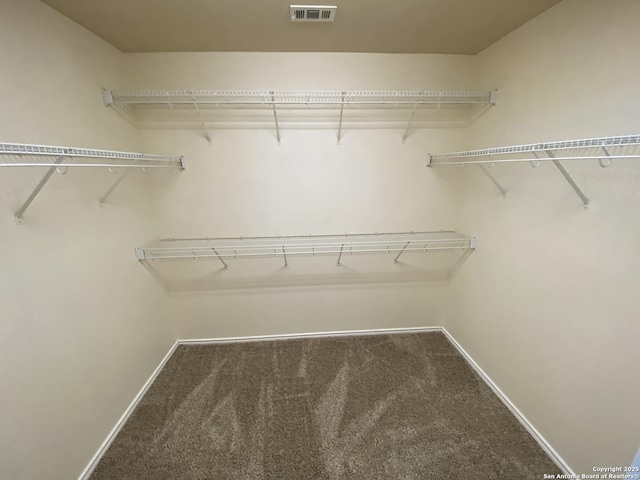 walk in closet featuring carpet