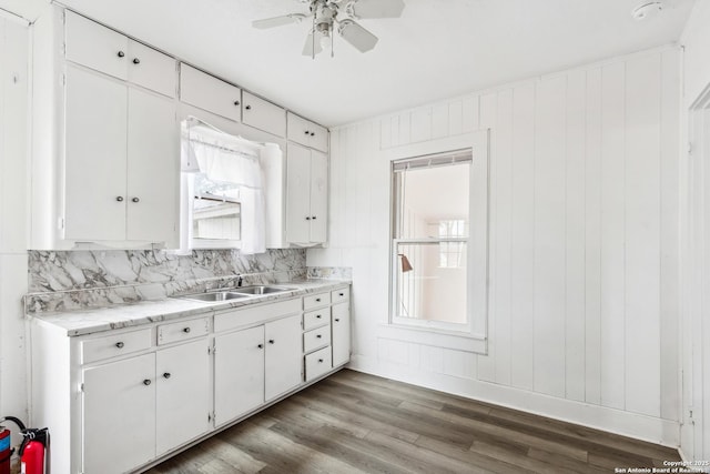 kitchen with white cabinetry, ceiling fan, wood-type flooring, and sink