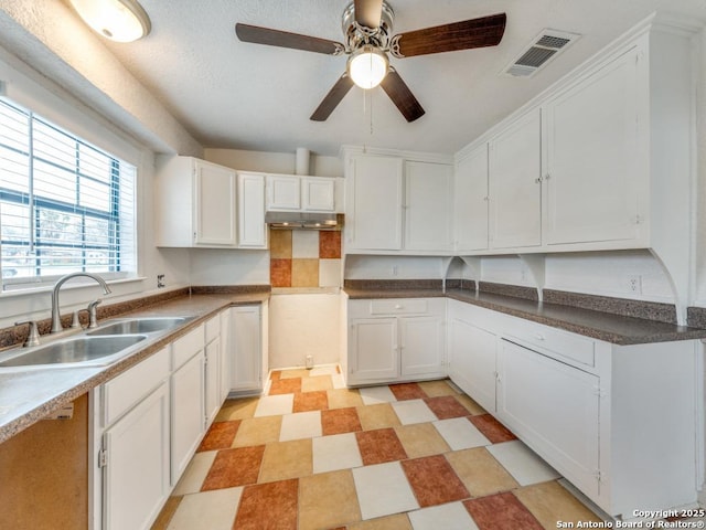 kitchen with ceiling fan, sink, and white cabinets