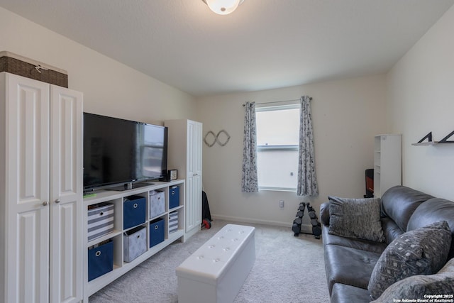 living room with carpet floors